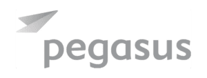 Pegasus